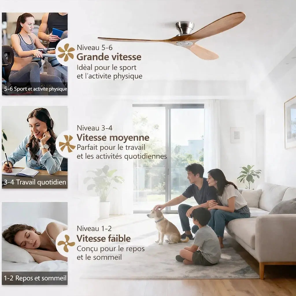 Ventilateur plafond salon bois naturel et blanc avec éclairage LED Oléa